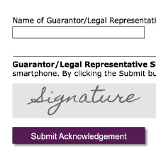 Electronic Signatures